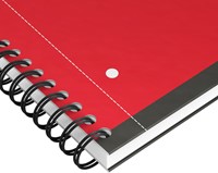 Spiraalblok Oxford International Notebook A4+ ruit 5mm-2