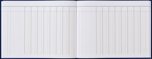 Kasboek tabellarisch 210x160mm 96blz 8 kolommen blauw-2