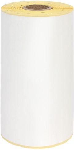 Zebra labeletiket IEZZY 3005281-T 102x150mm 19mm wit permanent
