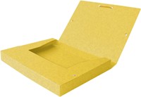 Elastobox Oxford Top File+ A4 40mm geel-2