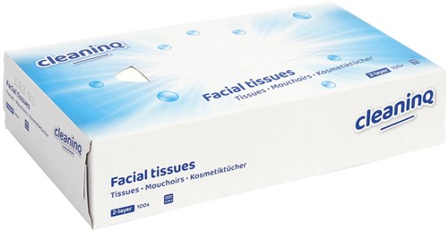 Facial tissues Cleaninq 2-laags 100stuks