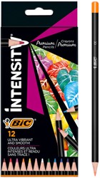 Kleurpotloden Bic Intensity Premium etui à 12 kleuren