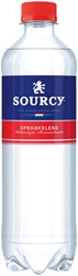 Water Sourcy rood petfles 500ml