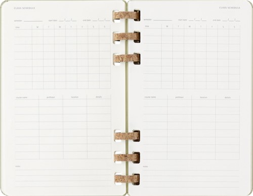 Agenda 2024/2025 Moleskine 12M Academic planner 7dagen/2pagina's large hc crush kiwi-3