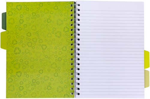 Projectboek Pukka Pad Recycled B5 lijn 4-tabs 200 pagina's 80gr groen-4