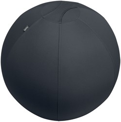 Actieve zitbal Leitz Ergo 75cm anti-rol donkergrijs