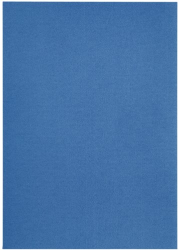 Kopieerpapier Papicolor A4 100gr 12vel donkerblauw-3