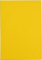 Kopieerpapier Papicolor A4 100gr 12 vel dottergeel-3