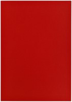 Kopieerpapier Papicolor A4 100gr 12vel rood-3