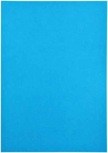 Kopieerpapier Papicolor A4 100gr 12vel hemelsblauw-3