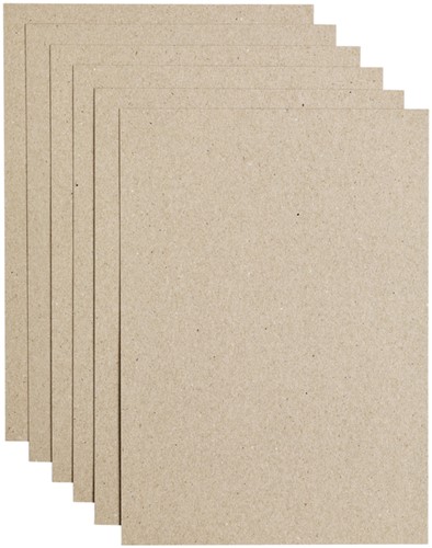 Kopieerpapier Papicolor A4 220gr 6 vel kraft grijs