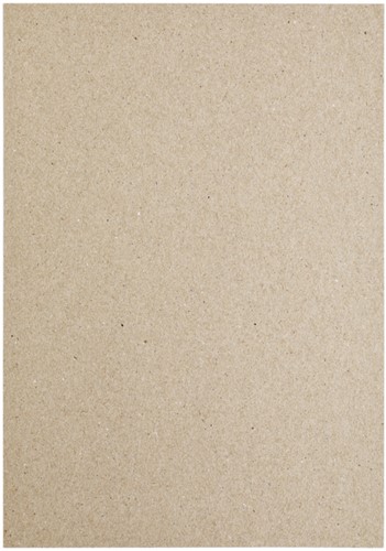 Kopieerpapier Papicolor A4 220gr 6 vel kraft grijs-3