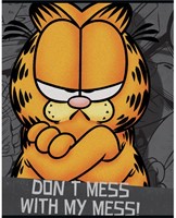 Schrift Garfield boys (A5) lijn-2
