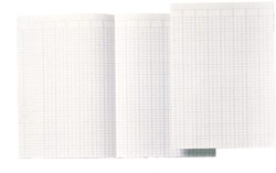 Accountantspapier dubbel A4 14 kolommen 100vel