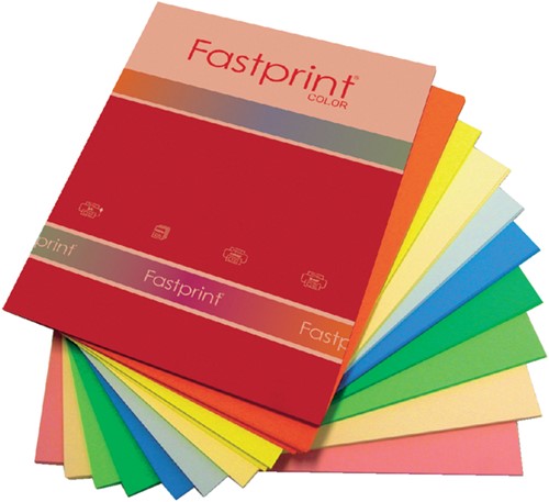 Kopieerpapier Fastprint A4 80gr 10kleuren x25vel 250vel-2