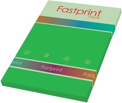 Kopieerpapier Fastprint A4 120gr grasgroen 100vel
