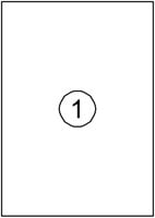 Etiket Avery DP001 210x297 wit 100 etiketten-2